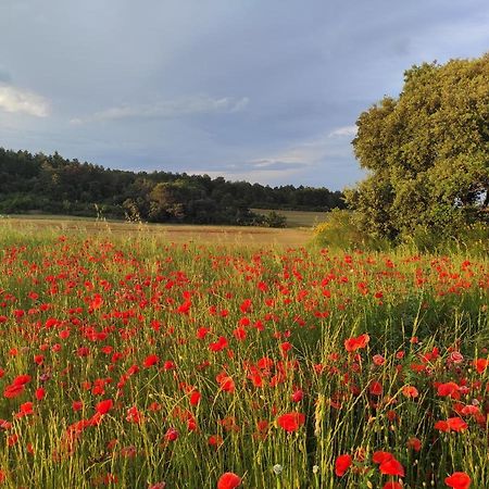 Gite A La Campagne, Proche Carcassonne Alairac Dış mekan fotoğraf