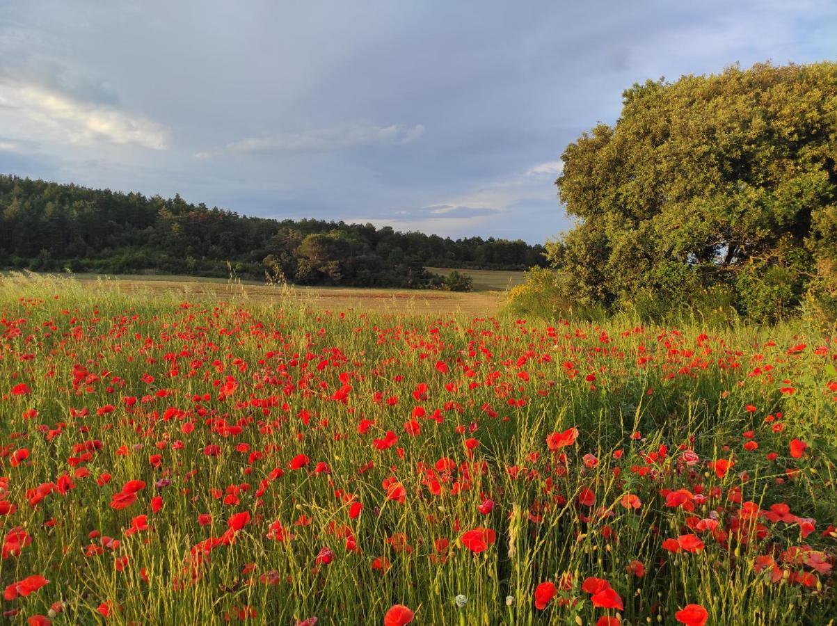 Gite A La Campagne, Proche Carcassonne Alairac Dış mekan fotoğraf